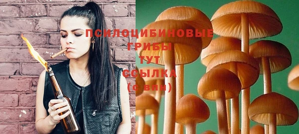 mix Арсеньев