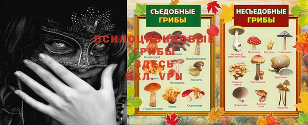 не бодяженный Аркадак