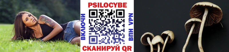 Галлюциногенные грибы GOLDEN TEACHER  Гурьевск 